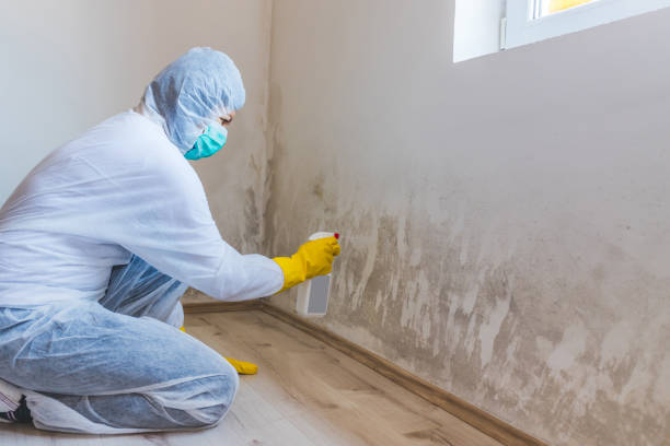 Mold Remediation specialist working in Fishing Creek